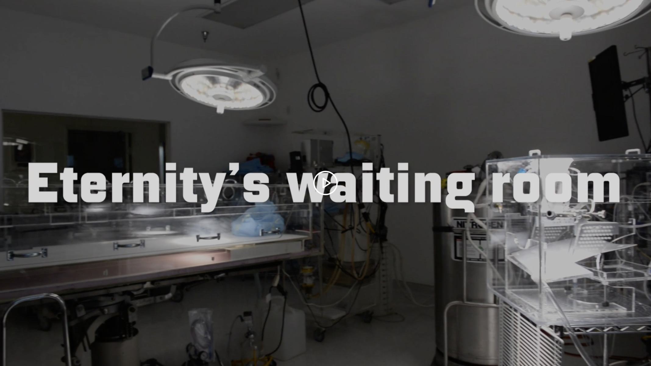 SURVIVING HUMANITY